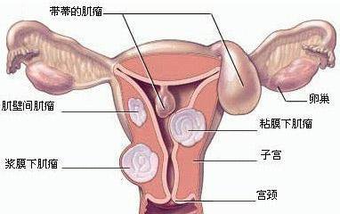 第770页