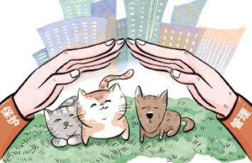 热点生活 第91页