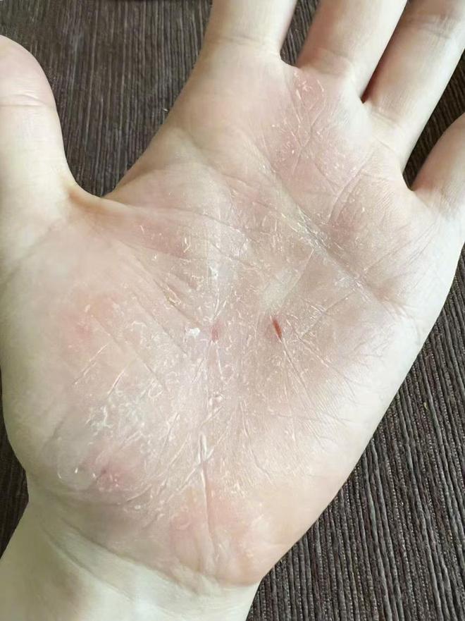 游戏专题 第22页