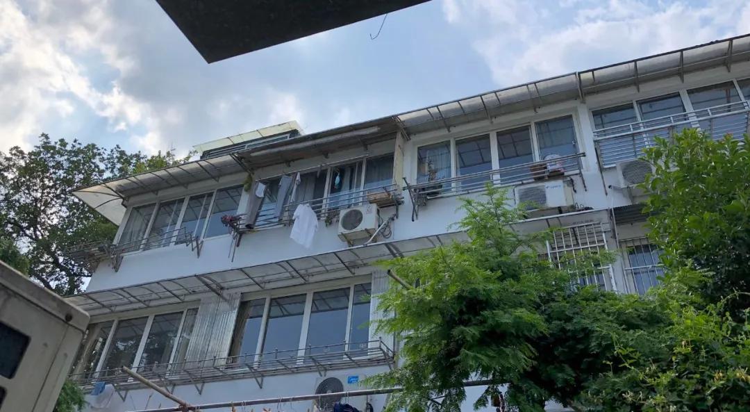 港澳新闻 第19页
