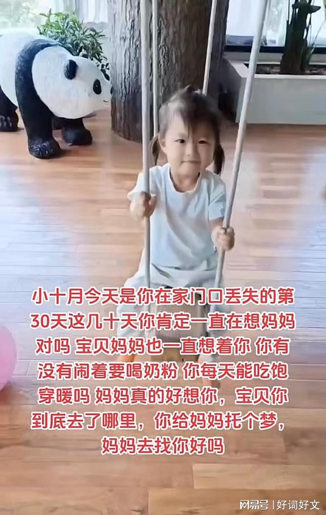 地方新闻 第11页